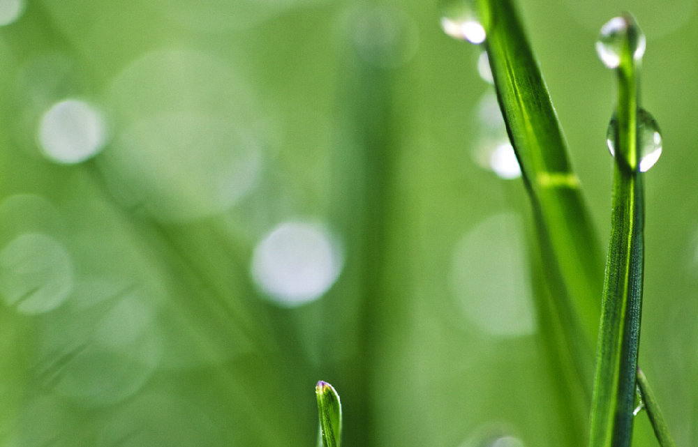 谷雨 与春天告别